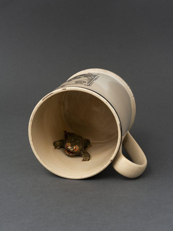 The inside of an antique Masonic mug adorned with a ceramic frog