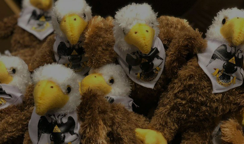 stuffed animal eagles