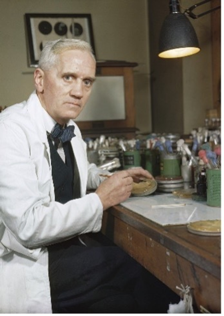 A portrait of Sir Alexander Fleming sitting in his laboratory in London.