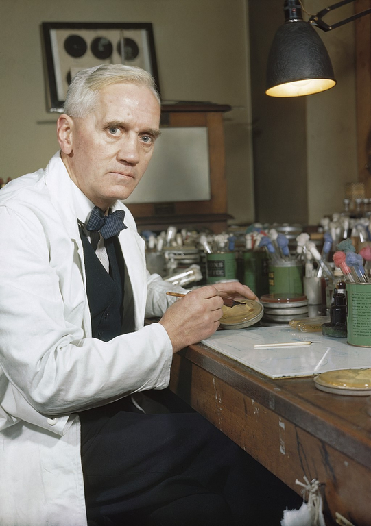 Professor Alexander Fleming in his laboratory in London, 1943