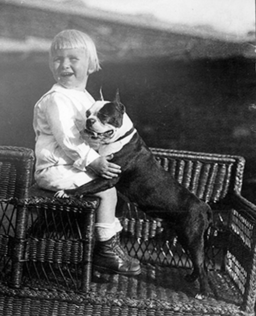 Young President Gerald Ford sitting in a chair with a French Bulldog