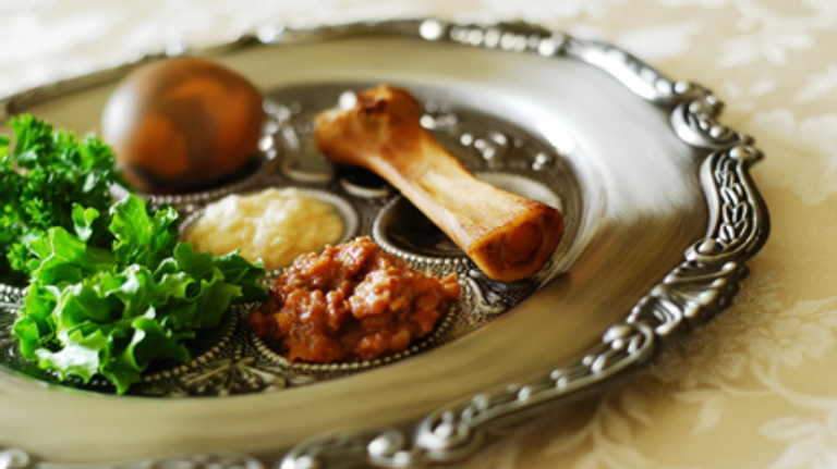 A lamb shank bone sits on a silver Seder plate